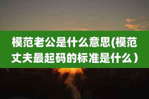 模范老公是什么意思(模范丈夫最起码的标准是什么)