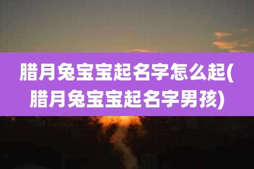 腊月兔宝宝起名字怎么起(腊月兔宝宝起名字男孩)