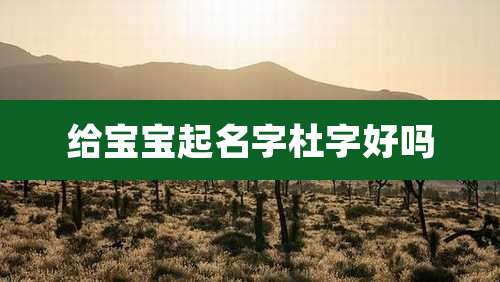 给宝宝起名字杜字好吗