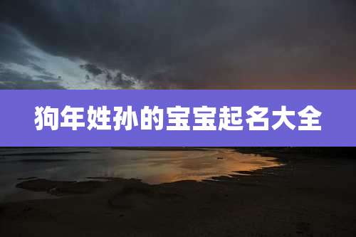 狗年姓孙的宝宝起名大全