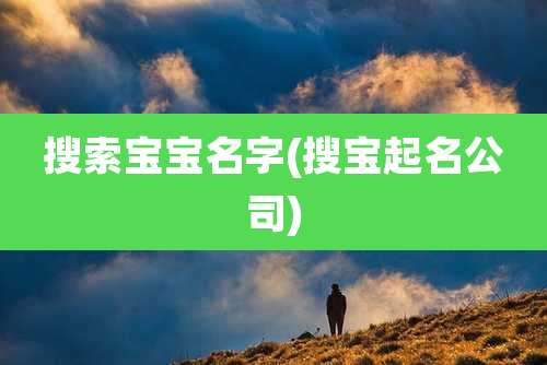 搜索宝宝名字(搜宝起名公司)