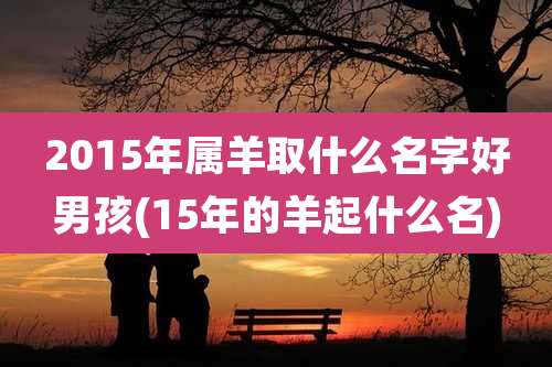 2015年属羊取什么名字好男孩(15年的羊起什么名)