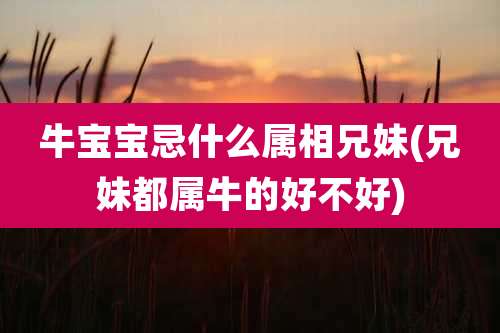 牛宝宝忌什么属相兄妹(兄妹都属牛的好不好)