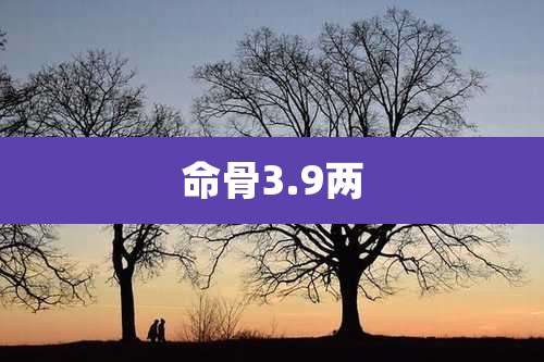 命骨3.9两