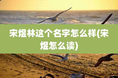 宋煜林这个名字怎么样(宋煜怎么读)