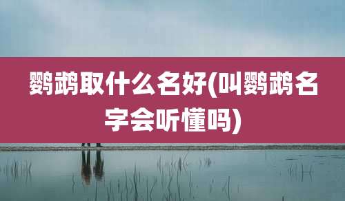 鹦鹉取什么名好(叫鹦鹉名字会听懂吗)