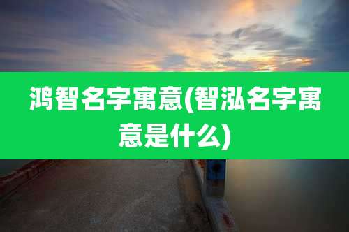 鸿智名字寓意(智泓名字寓意是什么)