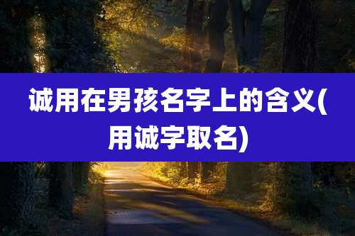 诚用在男孩名字上的含义(用诚字取名)
