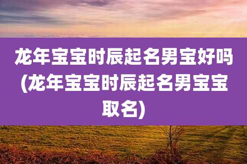 龙年宝宝时辰起名男宝好吗(龙年宝宝时辰起名男宝宝取名)