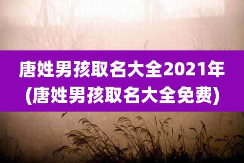 唐姓男孩取名大全2021年(唐姓男孩取名大全免费)