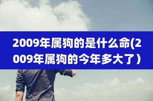 2009年属狗的是什么命(2009年属狗的今年多大了）