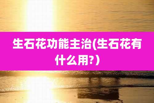 生石花功能主治(生石花有什么用?)