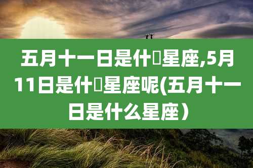 五月十一日是什麼星座,5月11日是什麼星座呢(五月十一日是什么星座）