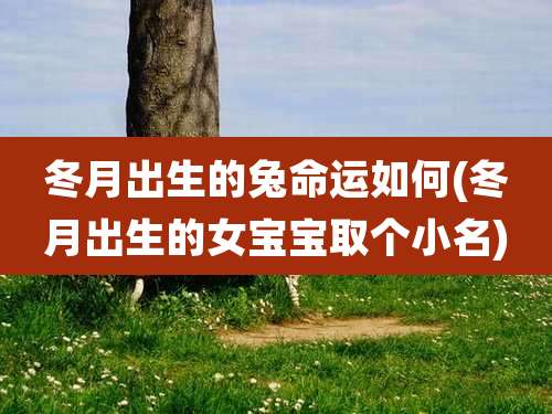 冬月出生的兔命运如何(冬月出生的女宝宝取个小名)