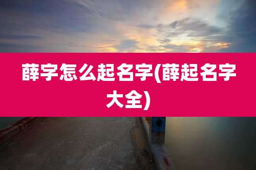薛字怎么起名字(薛起名字大全)
