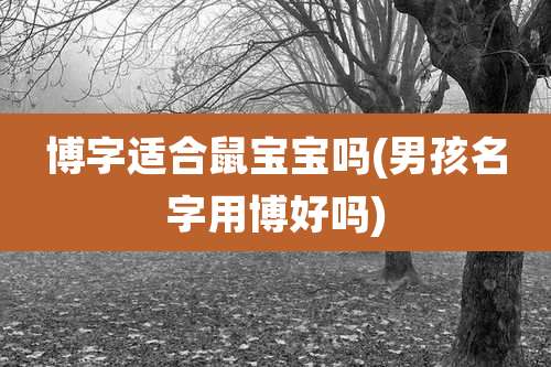 博字适合鼠宝宝吗(男孩名字用博好吗)
