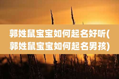 郭姓鼠宝宝如何起名好听(郭姓鼠宝宝如何起名男孩)