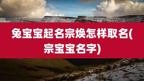 兔宝宝起名宗焕怎样取名(宗宝宝名字)