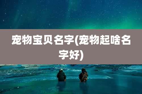 宠物宝贝名字(宠物起啥名字好)