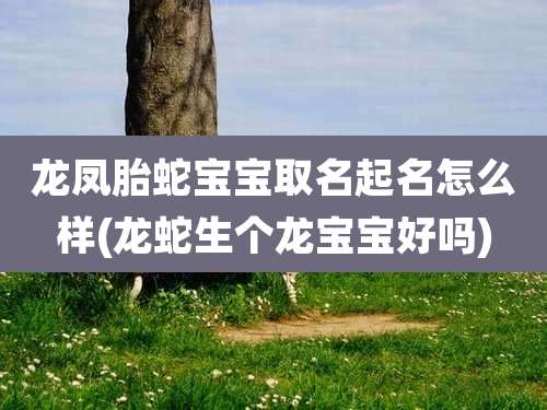 龙凤胎蛇宝宝取名起名怎么样(龙蛇生个龙宝宝好吗)