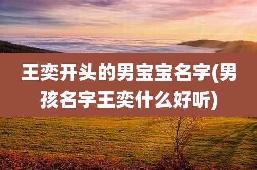 王奕开头的男宝宝名字(男孩名字王奕什么好听)