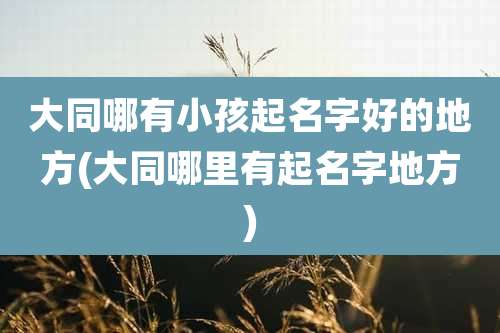 大同哪有小孩起名字好的地方(大同哪里有起名字地方)