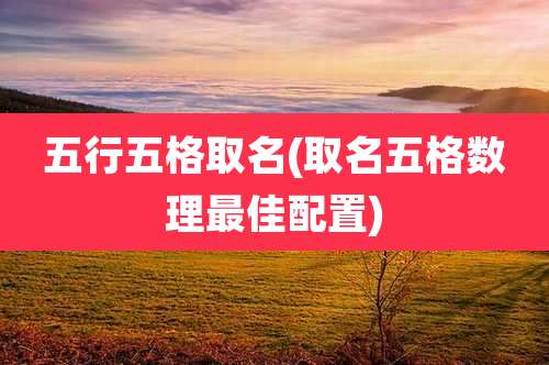 五行五格取名(取名五格数理最佳配置)