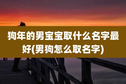 狗年的男宝宝取什么名字最好(男狗怎么取名字)