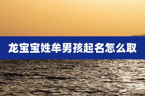 龙宝宝姓牟男孩起名怎么取
