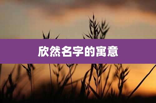 欣然名字的寓意