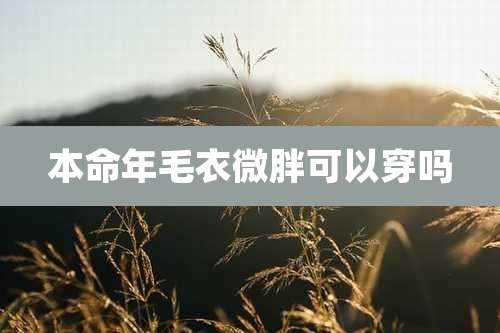 本命年毛衣微胖可以穿吗