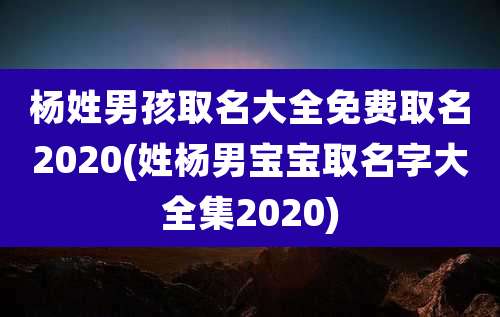 杨姓男孩取名大全免费取名2020(姓杨男宝宝取名字大全集2020)