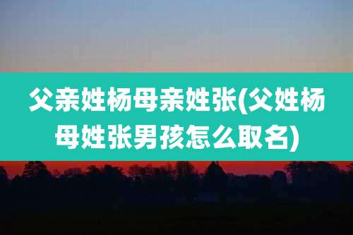 父亲姓杨母亲姓张(父姓杨母姓张男孩怎么取名)