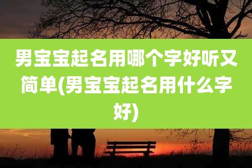 男宝宝起名用哪个字好听又简单(男宝宝起名用什么字好)