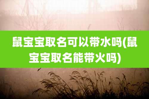 鼠宝宝取名可以带水吗(鼠宝宝取名能带火吗)