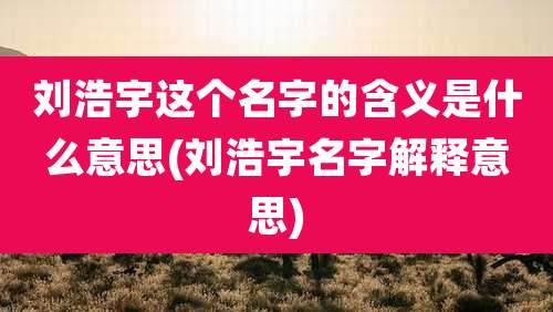 刘浩宇这个名字的含义是什么意思(刘浩宇名字解释意思)