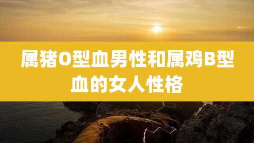 属猪O型血男性和属鸡B型血的女人性格