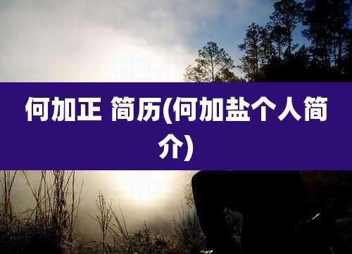 何加正 简历(何加盐个人简介)