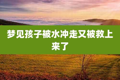 梦见孩子被水冲走又被救上来了