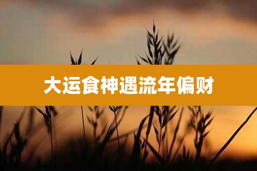 大运食神遇流年偏财