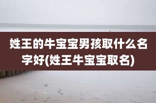 姓王的牛宝宝男孩取什么名字好(姓王牛宝宝取名)