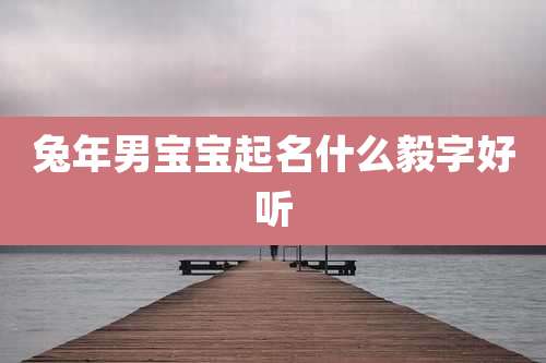 兔年男宝宝起名什么毅字好听