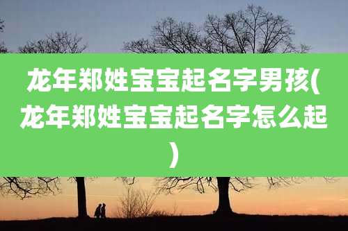 龙年郑姓宝宝起名字男孩(龙年郑姓宝宝起名字怎么起)