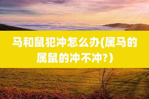 马和鼠犯冲怎么办(属马的属鼠的冲不冲?)