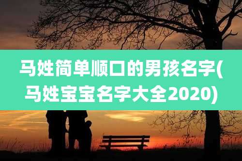 马姓简单顺口的男孩名字(马姓宝宝名字大全2020)