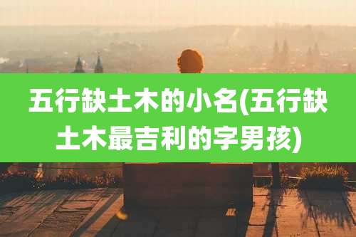 五行缺土木的小名(五行缺土木最吉利的字男孩)