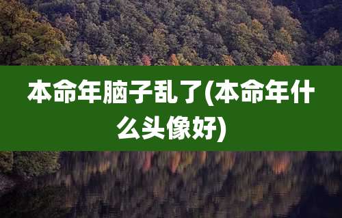 本命年脑子乱了(本命年什么头像好)