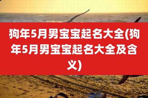 狗年5月男宝宝起名大全(狗年5月男宝宝起名大全及含义)