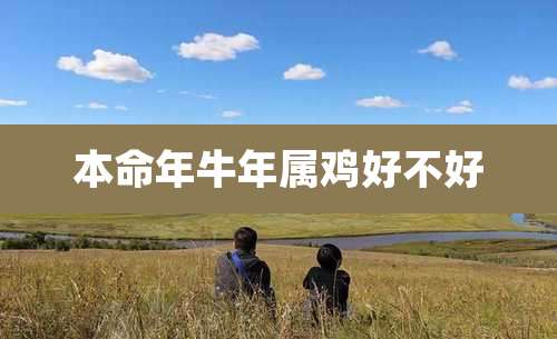 本命年牛年属鸡好不好