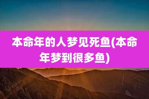 本命年的人梦见死鱼(本命年梦到很多鱼)